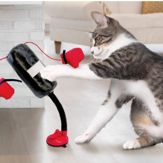 Tragbarer Katzen-Boxsack-Spielzeug