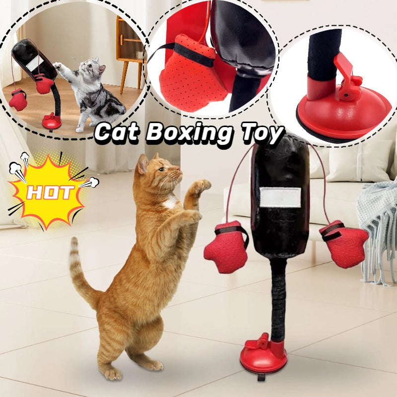 Tragbarer Katzen-Boxsack-Spielzeug