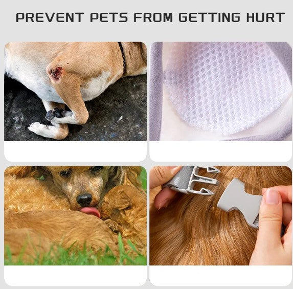 Genouillère de protection pour chiens
