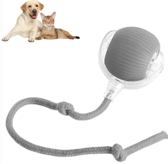 Intelligenter Rollender Haustierball